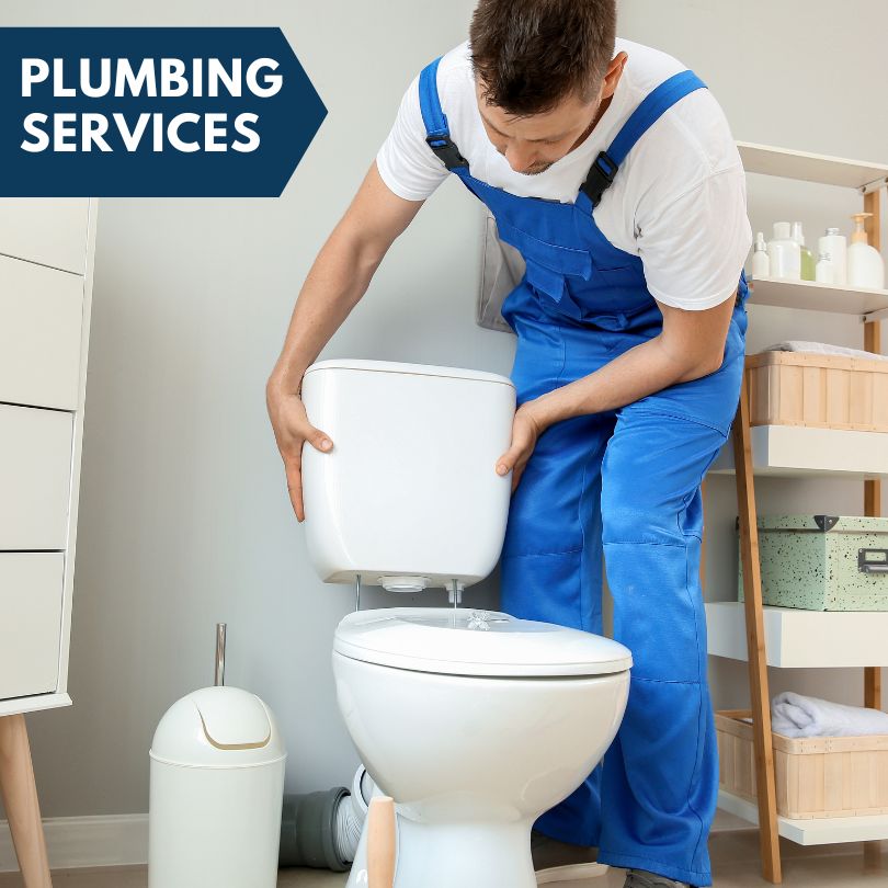 Plumbing Company in Baroda, MI